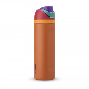 Owala 24oz FreeSip® Stainless Steel Water Bottle Gemstone Chic | Canada VDS672305