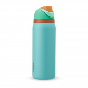 Owala 32oz FreeSip® Stainless Steel Water Bottle Palm Springs | Canada DWR935218