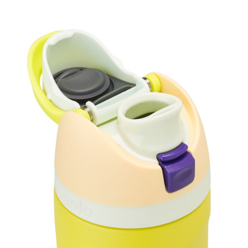 Owala 24oz FreeSip® Stainless Steel Water Bottle Lemon Limeade | Canada UBX148695
