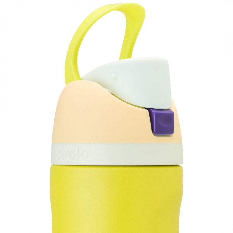 Owala 24oz FreeSip® Stainless Steel Water Bottle Lemon Limeade | Canada UBX148695