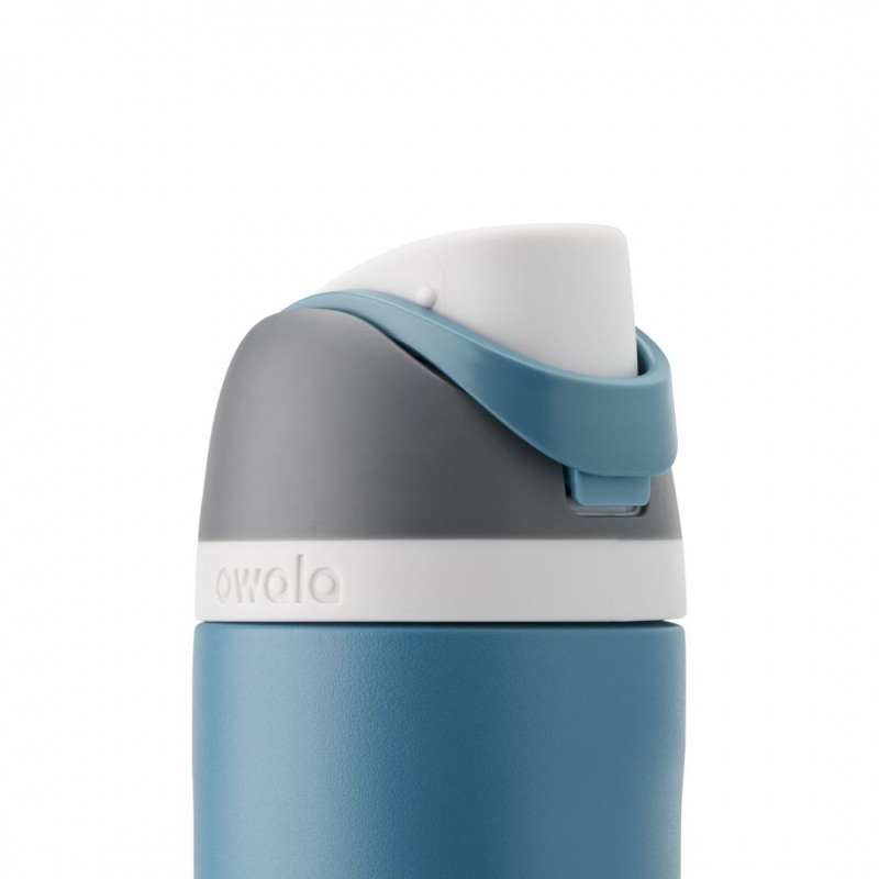 Owala 24oz FreeSip® Stainless Steel Water Bottle Blue Oasis | Canada FCK145936