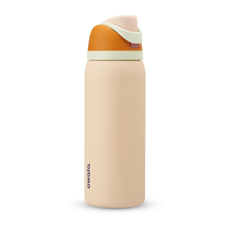 Owala 32oz FreeSip® Stainless Steel Water Bottle Water in the Desert | Canada FTH136245