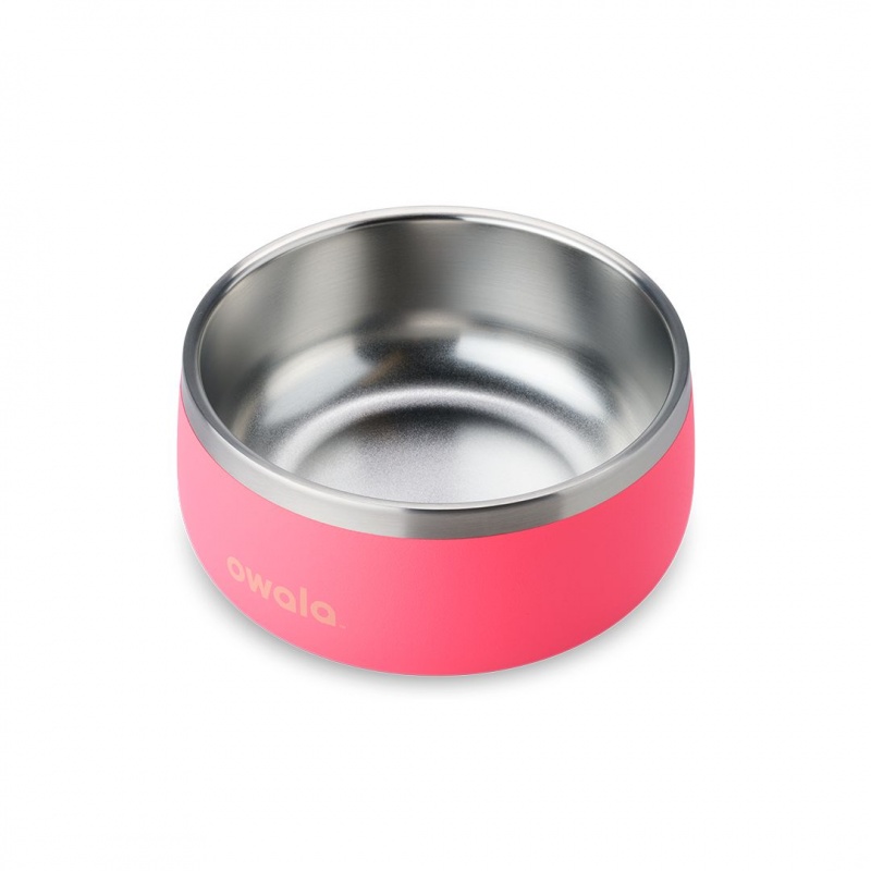 Owala 3 Cups Pet Bowl Hyper Flamingo | Canada TOD175932